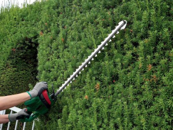 650W Electric Hedge Trimmer - Image 3